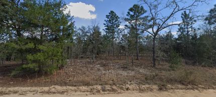 Recreational Property in Putnam County, Florida