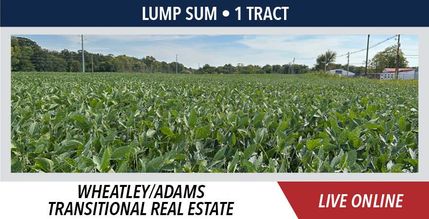 Undeveloped Land for sale in McLean County, Illinois