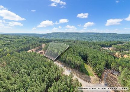 Timberland Property in Marion County, Tennessee