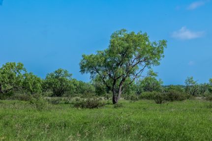 Farm and Ranch for sale in McCulloch County, Texas