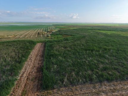 Farm and Ranch for sale in Walworth County, South Dakota