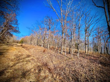 Undeveloped Land in Benton County, Missouri