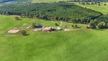 Horse Property for sale in Titus County, Texas