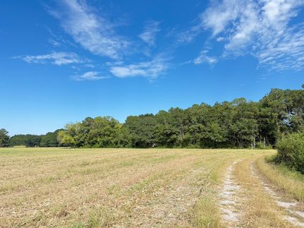 Recreational Property for sale in Marlboro County, South Carolina