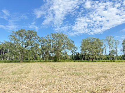 Recreational Property for sale in Marlboro County, South Carolina
