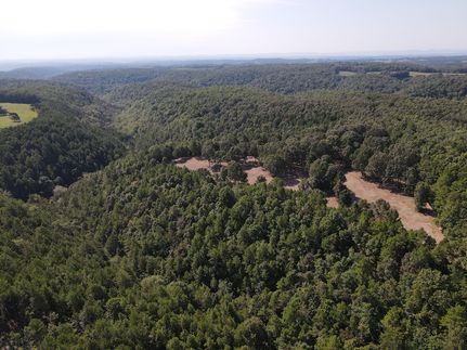Undeveloped Land for sale in Marion County, Arkansas
