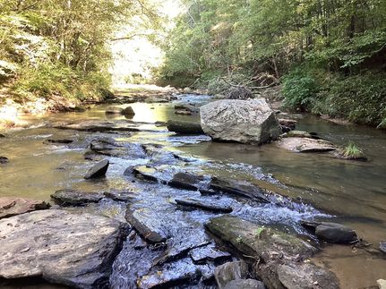 Timberland Property for sale in Polk County, North Carolina