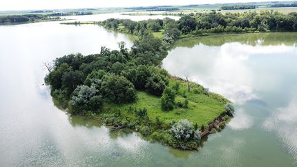 Farm and Ranch for sale in Grant County, Minnesota