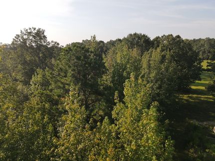 Timberland Property for sale in Union County, Arkansas