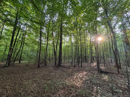 Undeveloped Land for sale in Tallapoosa County, Alabama