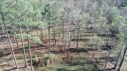 Timberland Property for sale in Shelby County, Alabama