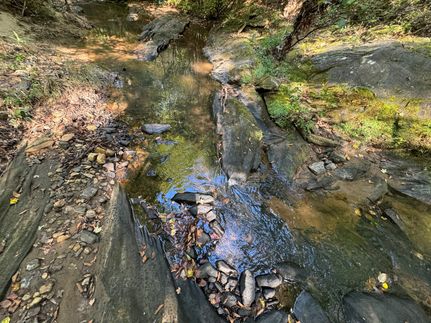 Undeveloped Land for sale in Tallapoosa County, Alabama