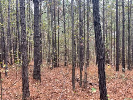 Recreational Property for sale in Coosa County, Alabama