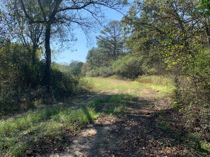 Land for sale in DeKalb County, Alabama