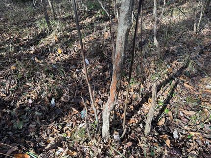 Farm and Ranch for sale in Coosa County, Alabama