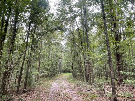 Timberland Property for sale in Dallas County, Alabama