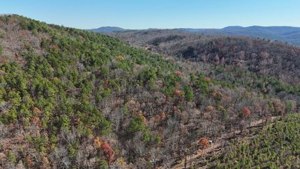 Undeveloped Land for sale in Cherokee County, Alabama