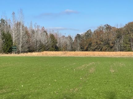 Timberland Property for sale in Dallas County, Alabama