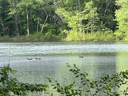 Land for sale in Lauderdale County, Alabama