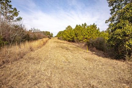 Land for sale in Covington County, Mississippi