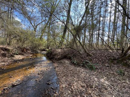 Recreational Property for sale in Chambers County, Alabama