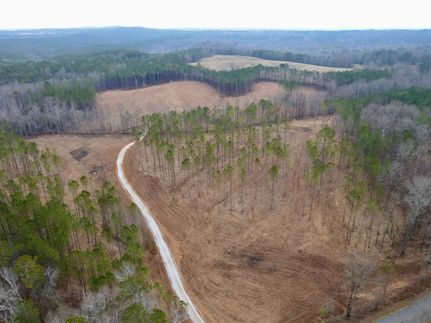 Land for sale in Clay County, Alabama