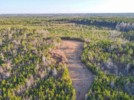 Undeveloped Land for sale in Chambers County, Alabama