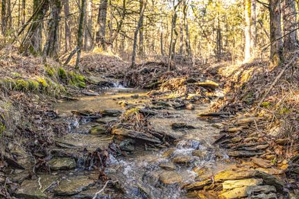 Timberland Property for sale in Logan County, Arkansas