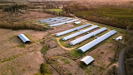 Farm and Ranch for sale in Simpson County, Mississippi