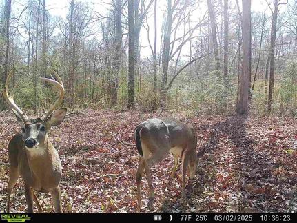 Commercial Property for sale in Amite County, Mississippi