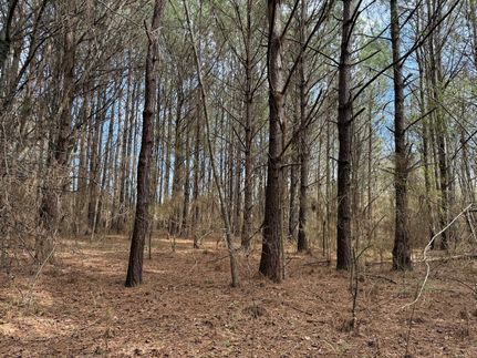 Undeveloped Land for sale in Talladega County, Alabama