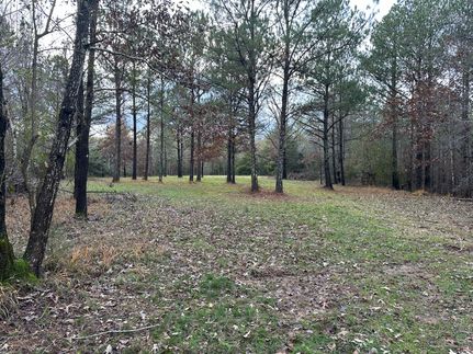 Land for sale in Franklin County, Alabama