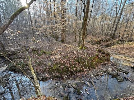 Land for sale in Clay County, Alabama