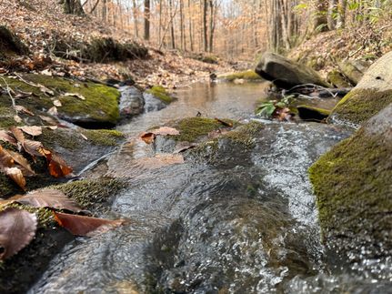 Timberland Property for sale in Tallapoosa County, Alabama