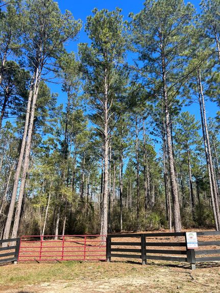 Farm and Ranch for sale in Covington County, Alabama