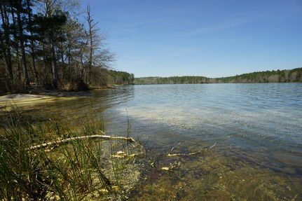 Lakefront Property for sale in Rockdale County, Georgia