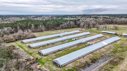 Farm and Ranch for sale in Bienville Parish, Louisiana