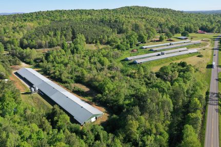 Land for sale in Cleburne County, Alabama