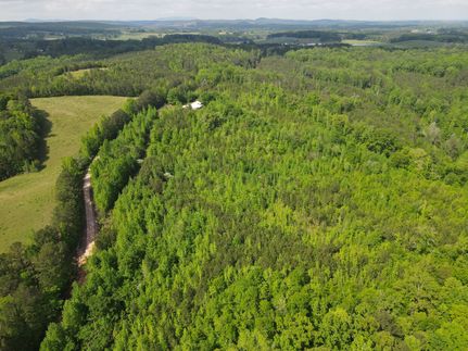 Undeveloped Land for sale in Clay County, Alabama