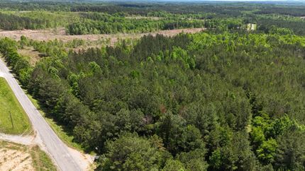 Undeveloped Land in Cleburne County, Alabama