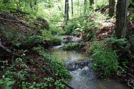 Land for sale in Lamar County, Georgia