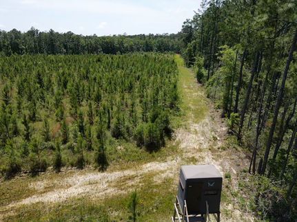 Farm and Ranch for sale in Baldwin County, Alabama