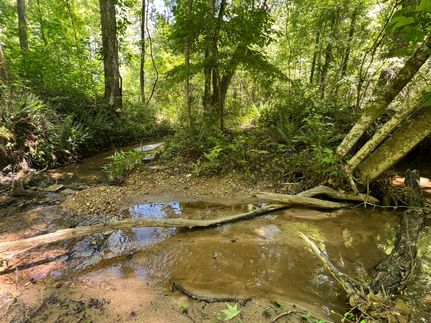 Land for sale in Coweta County, Georgia