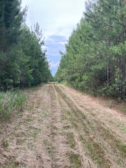 Recreational Property for sale in Baldwin County, Alabama