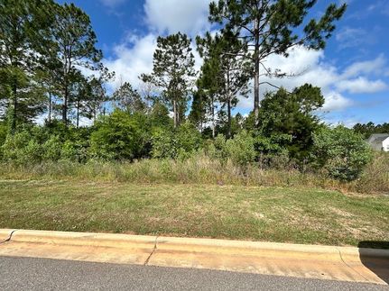 Land for sale in Lee County, Georgia