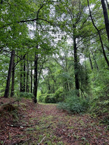 Undeveloped Land for sale in Leake County, Mississippi