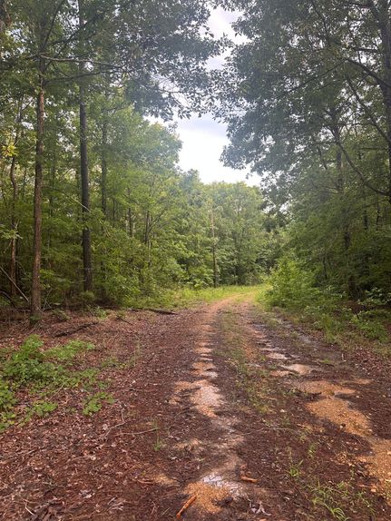 Undeveloped Land for sale in Pickens County, Alabama