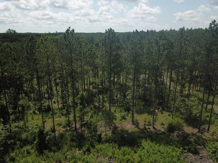 Farm and Ranch for sale in Coosa County, Alabama
