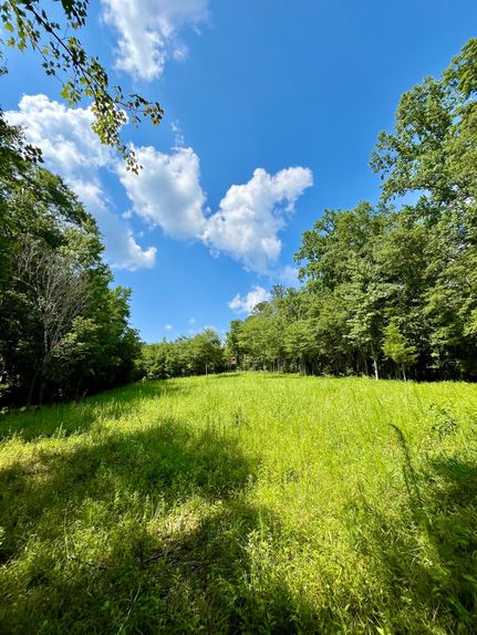 Undeveloped Land for sale in Randolph County, Alabama