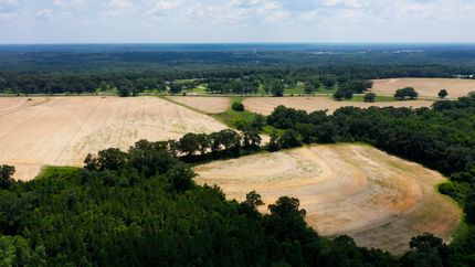 Recreational Property for sale in Geneva County, Alabama